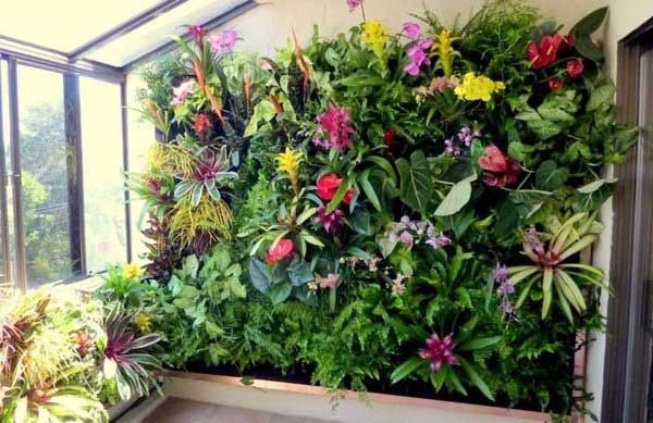 ARTE EN PLANTAS