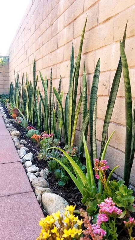 ARTE EN PLANTAS