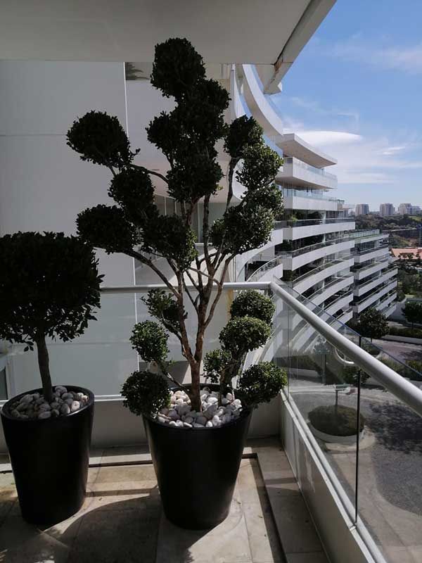 ARTE EN PLANTAS