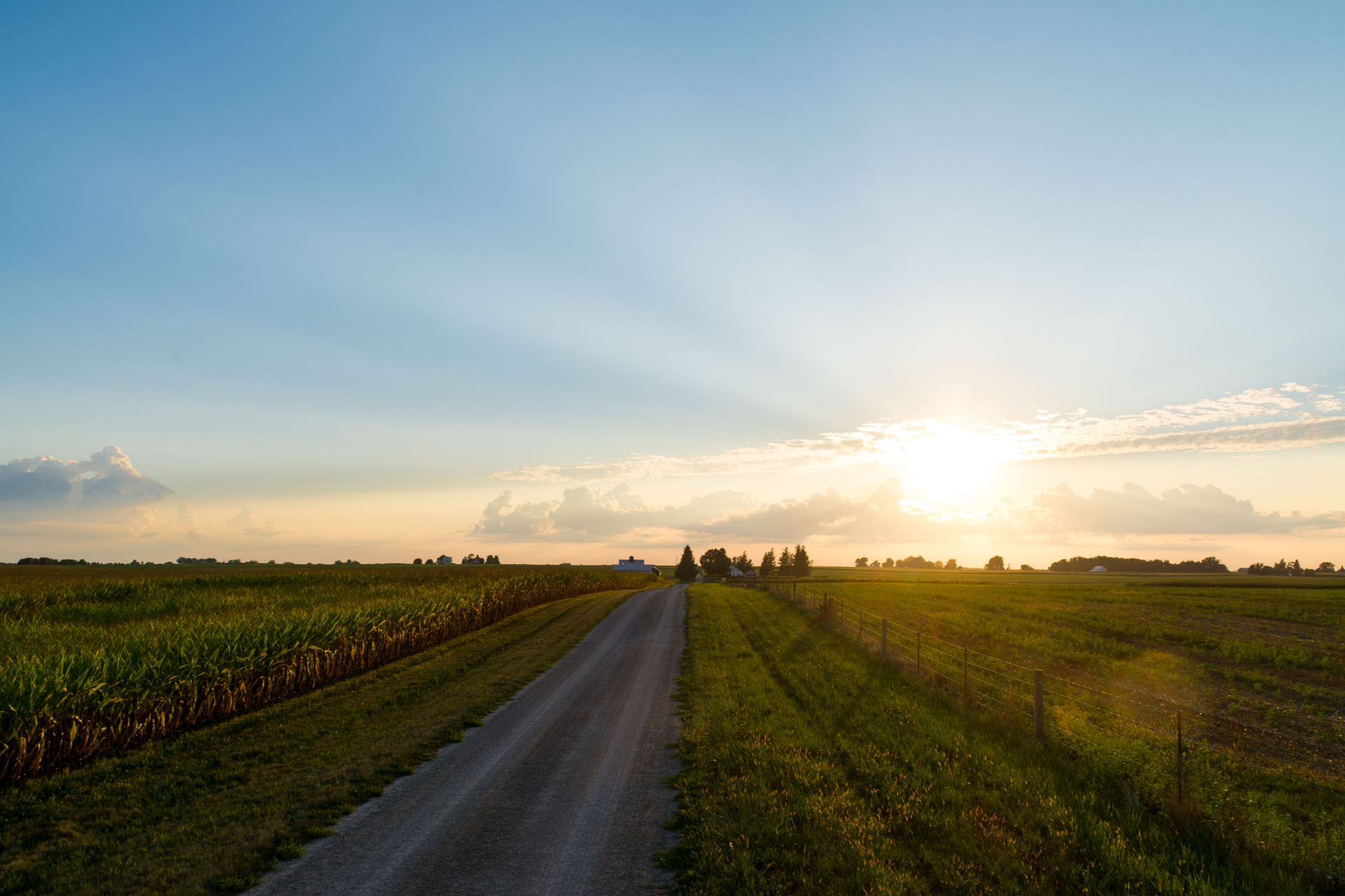 A dirt road cuts through a green field toward a sunset on the horizon under a vast, blue sky.