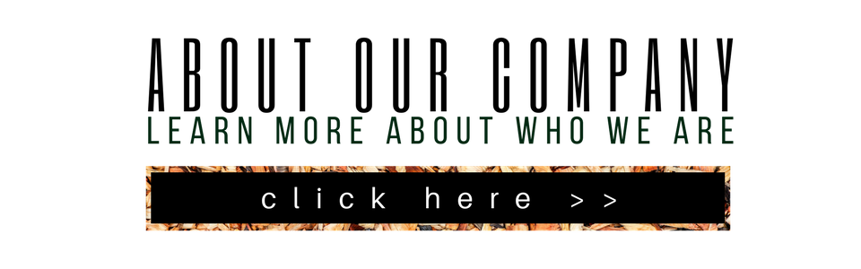 Banner reading “About Our Company” with “Learn more about who we are” and a “click here” button.