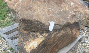 Large brown boulder on a wooden pallet with a white tag attached outdoors