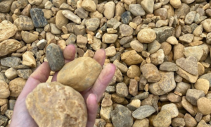 Hand holding several smooth tan and gray pebbles over a bed of small stones