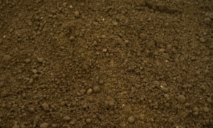 Close-up of brown, rocky dirt or soil surface with small pebbles scattered throughout