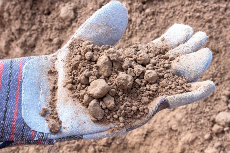 Gloved hand holding dry soil against a dirt ground background