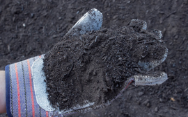 Gloved hand holding a clump of dark soil outdoors