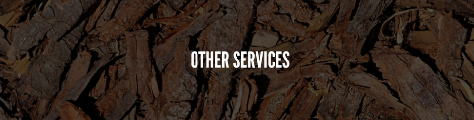 “OTHER SERVICES” text over a dark rocky background