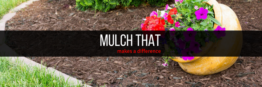 Garden bed with dark mulch, colorful flowers, and a banner reading “MULCH THAT”