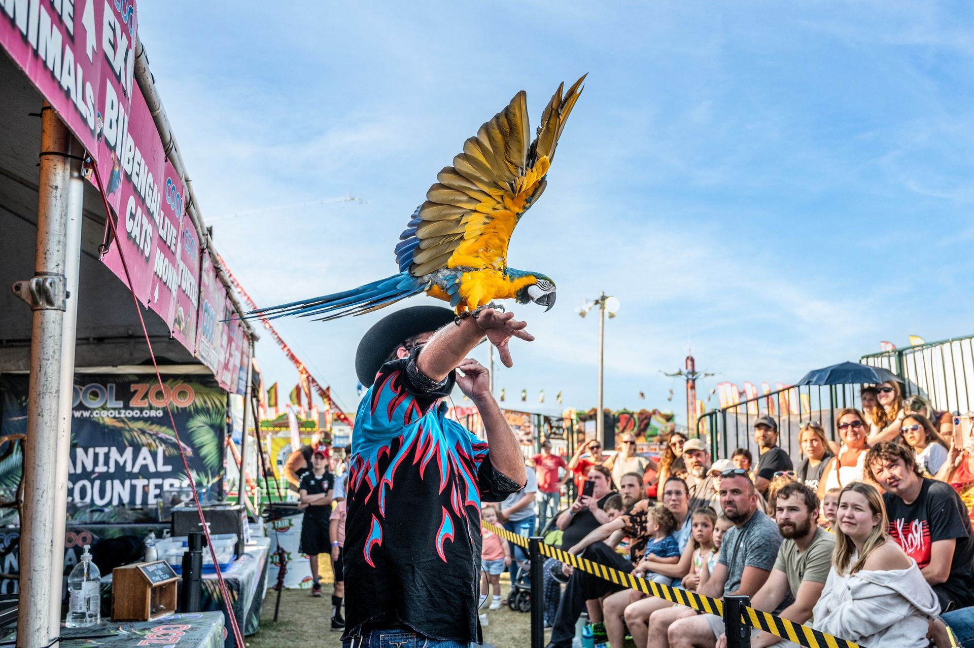 A person with a blue and gold macaw on their arm performs for a crowd outdoors.