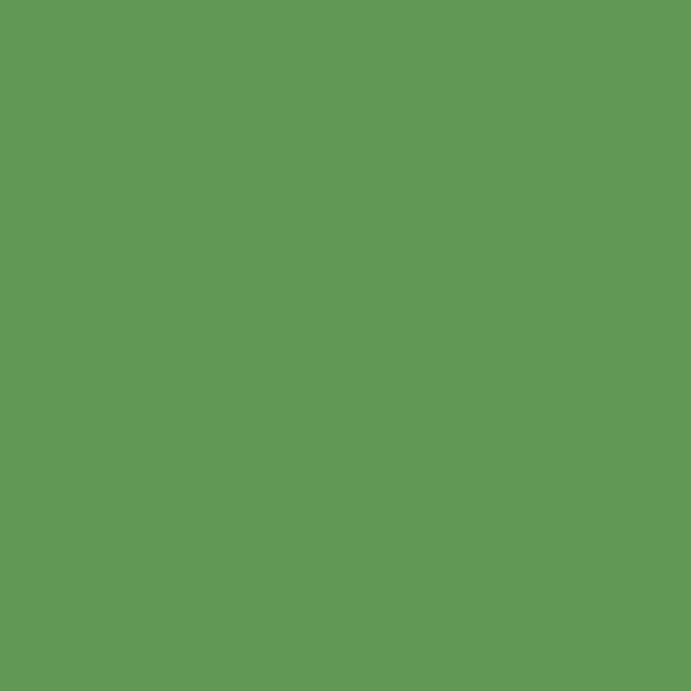 Solid green background.