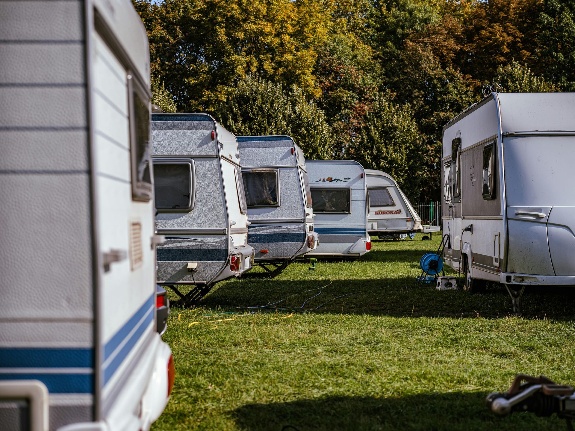 Camping tents on a grassy field with a forest and mountain in the background. Blue tent in the foreground.