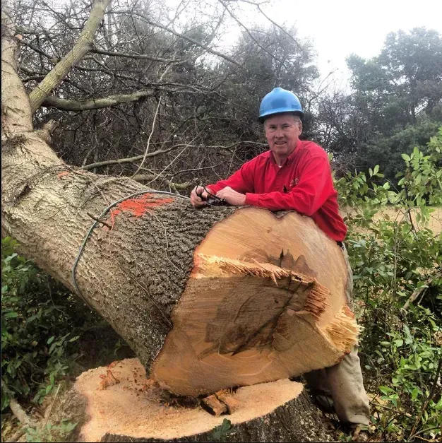 Man in red shirt and blue hardhat sits on a freshly cut tree, smiling. Outdoors.
