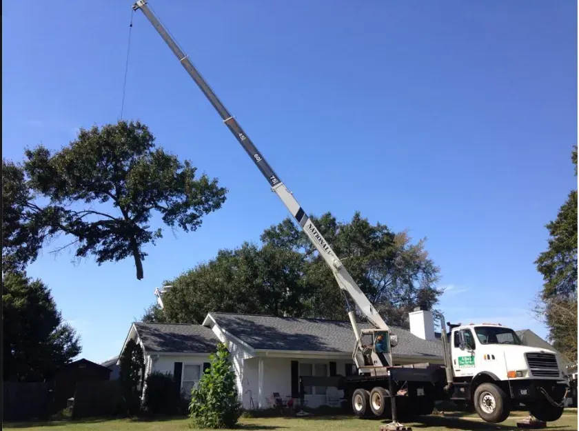 Crane lifting a tree limb near a white house with a dark roof. Clear blue sky in the background.