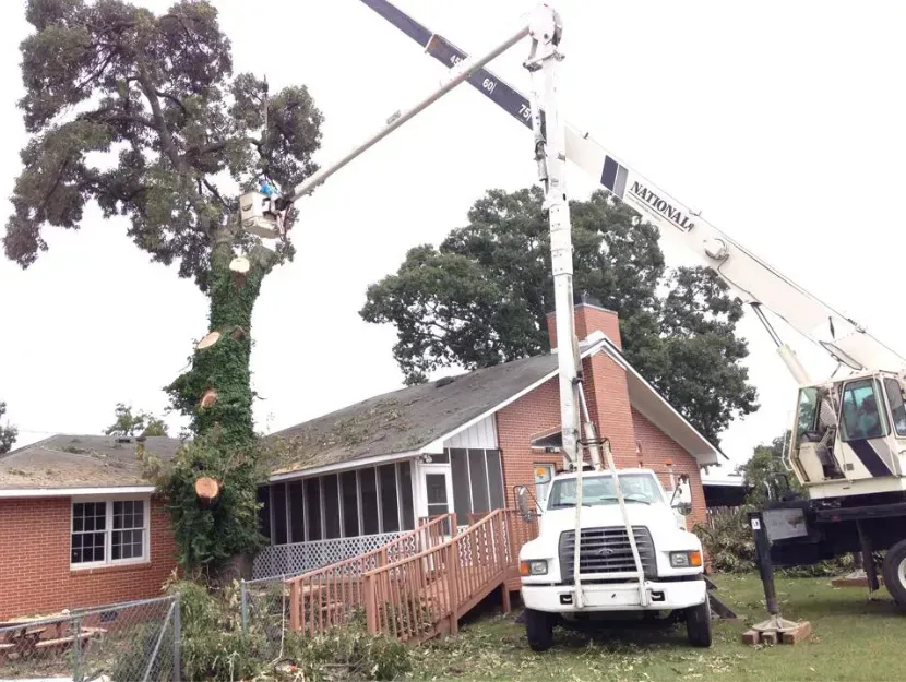 Truck-mounted lift trimming a tree near a brick house. A worker is in the lift basket. Overcast day.