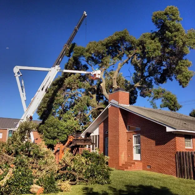 A crane removing a large tree from a brick house after a storm. Blue sky.