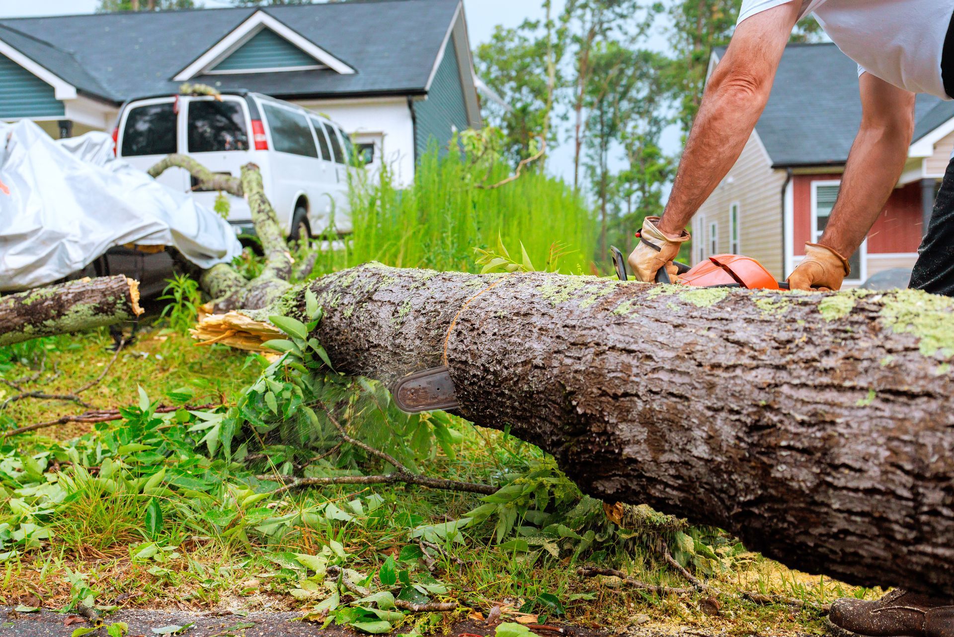 A professional arborist using a chainsaw for safe tree removal services in a residential backyard.