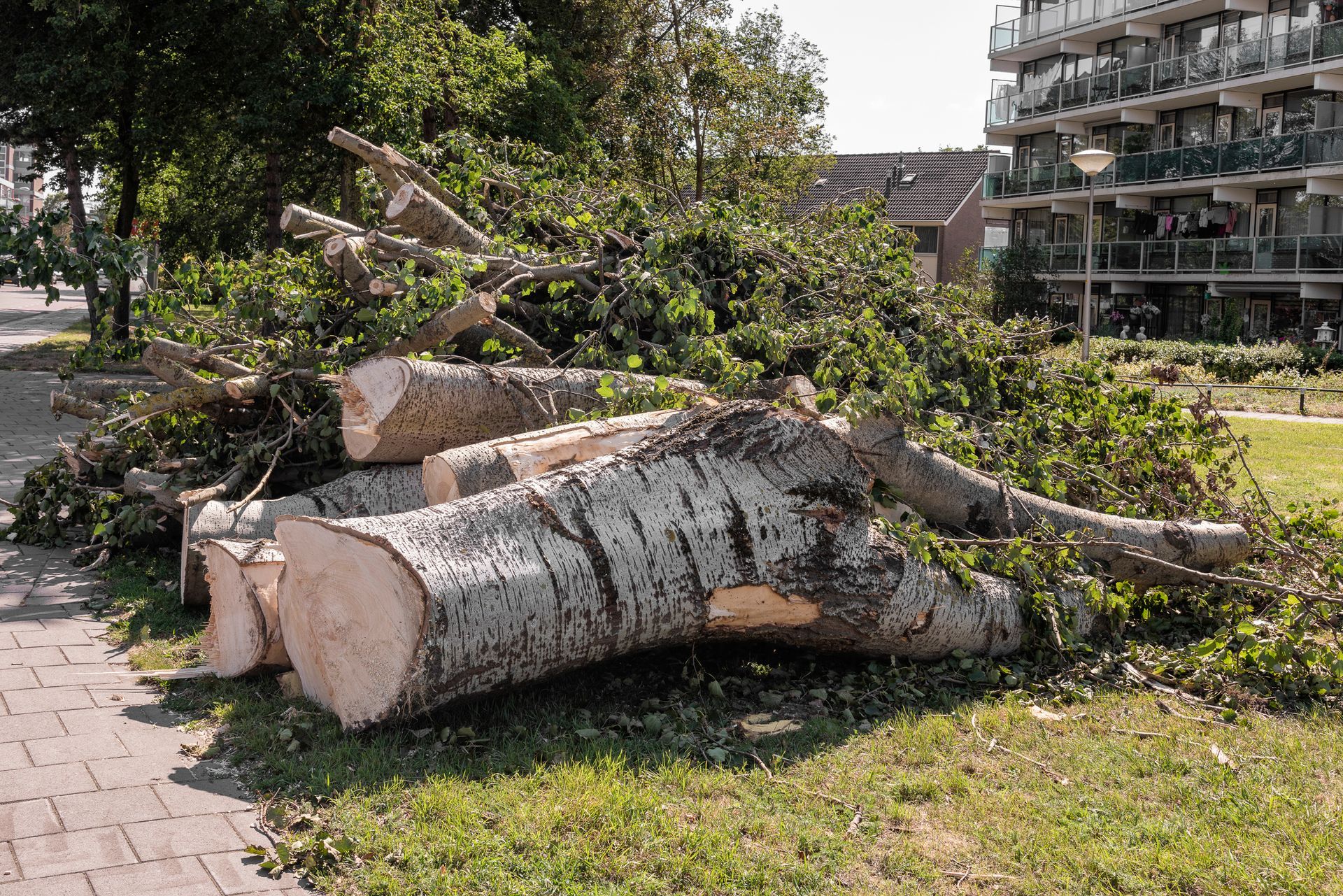 A pile of logs laying on the grass in front of a building.