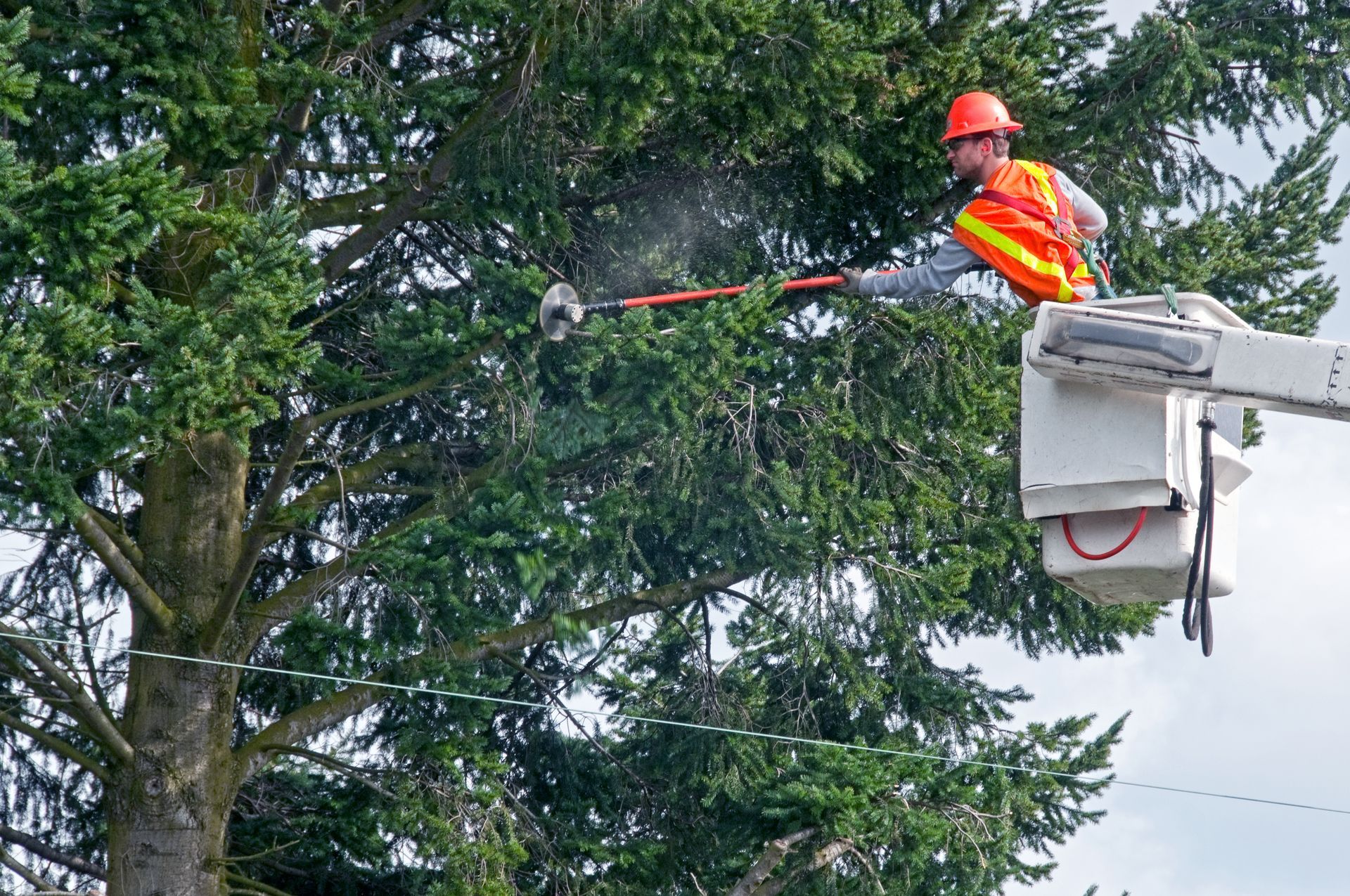 A tree service expert using a cherry picker to safely trim tree branches near power lines.