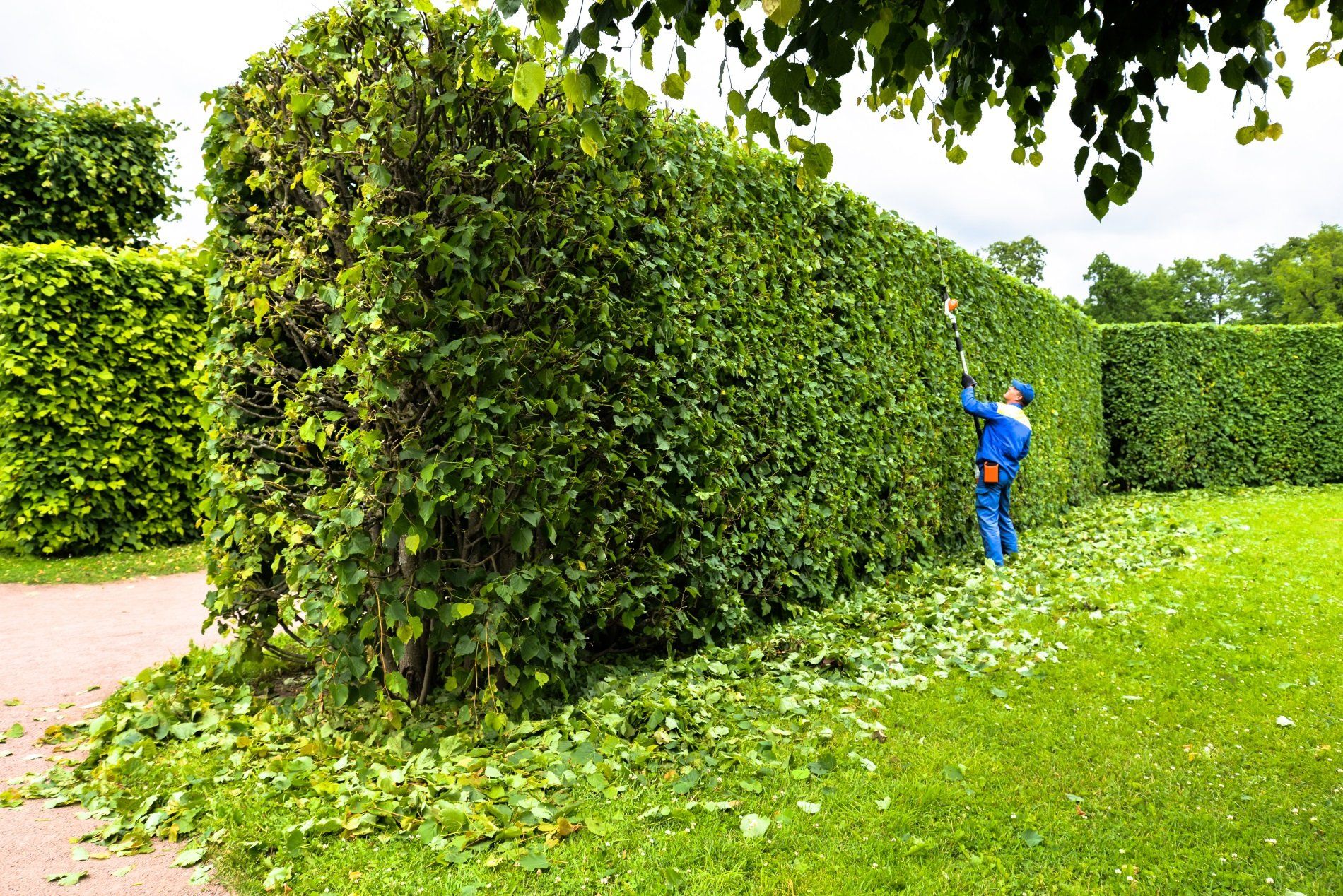 Sevizi di giardinaggio 