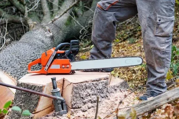 Orange chainsaw cutting a log beside a worker in a wooded area