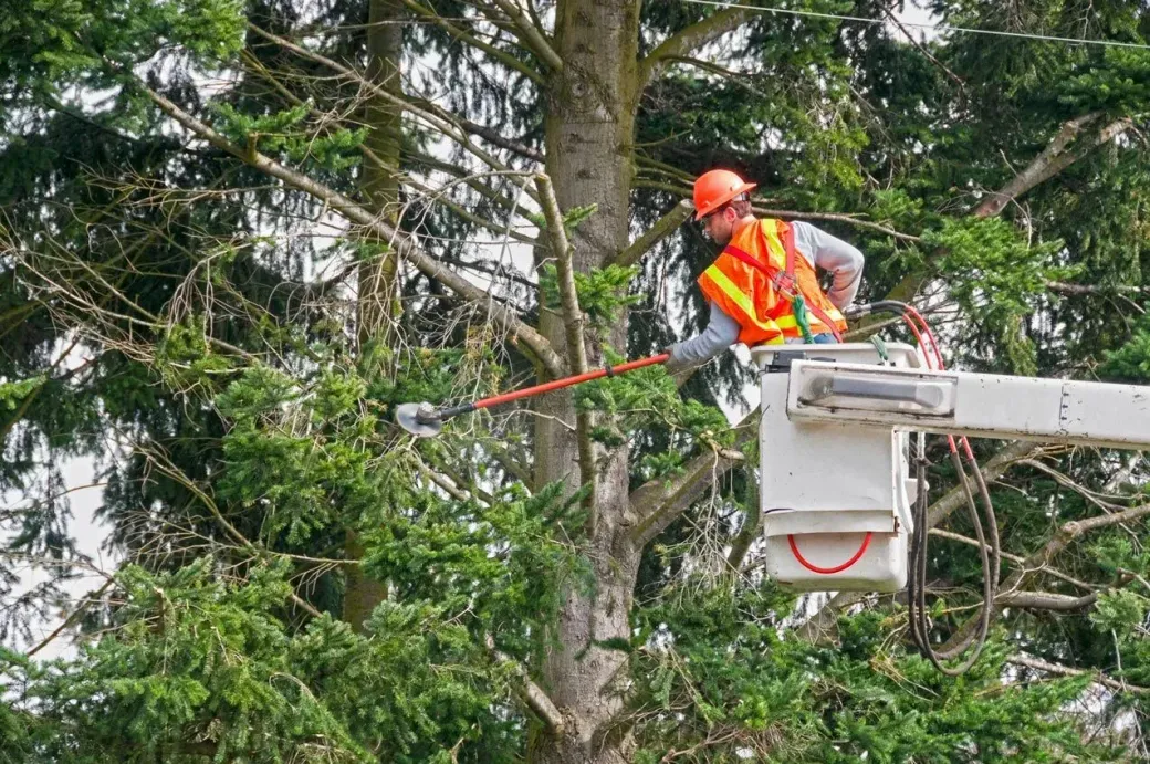 Utility worker in orange safety gear trimming tree branches from a bucket lift