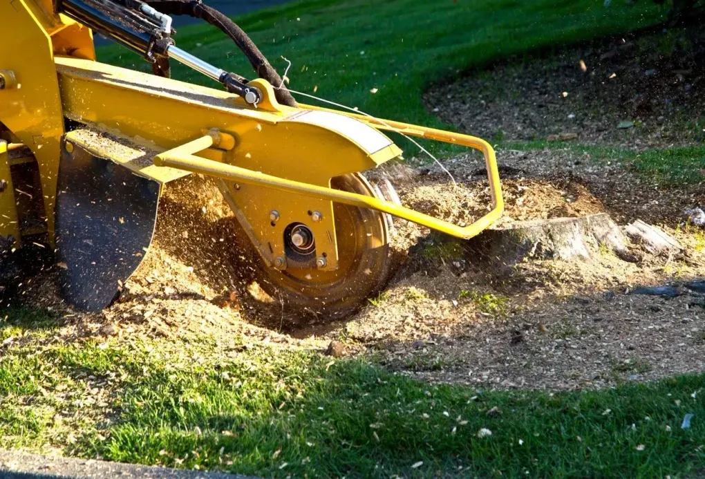 Yellow mower cutting grass, scattering clippings across a green lawn.