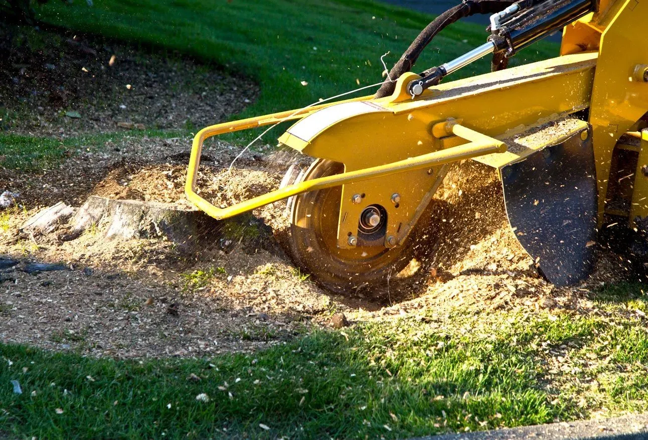 Yellow circular saw cutting pavement, spraying debris on the ground