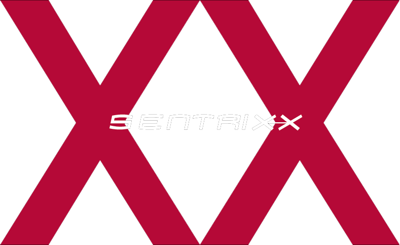 Sentrixx Security Sentrixx Security