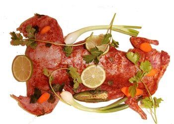 Rabbit — Edinburg, TX — Vera’s King-O-Meats, Inc