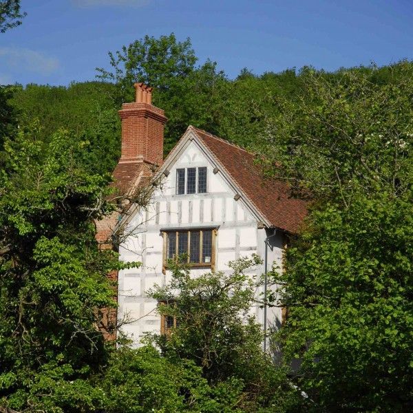 White cottage with a red brick chimney nestled among dense green trees under a blue sky