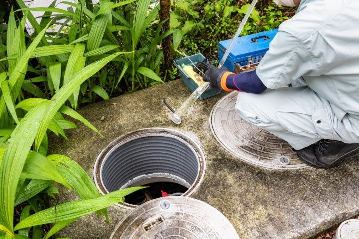 Worker lowering a camera into a manhole beside greenery and concrete covers