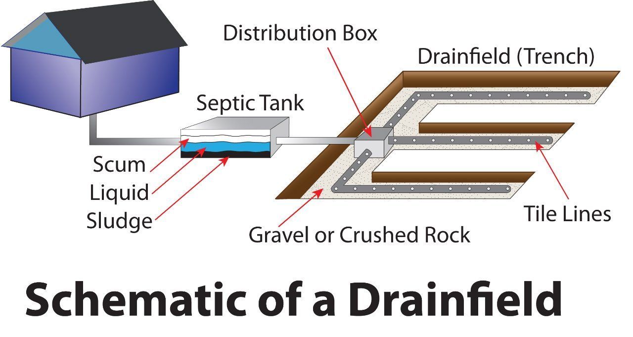 Illustration of Septic System components