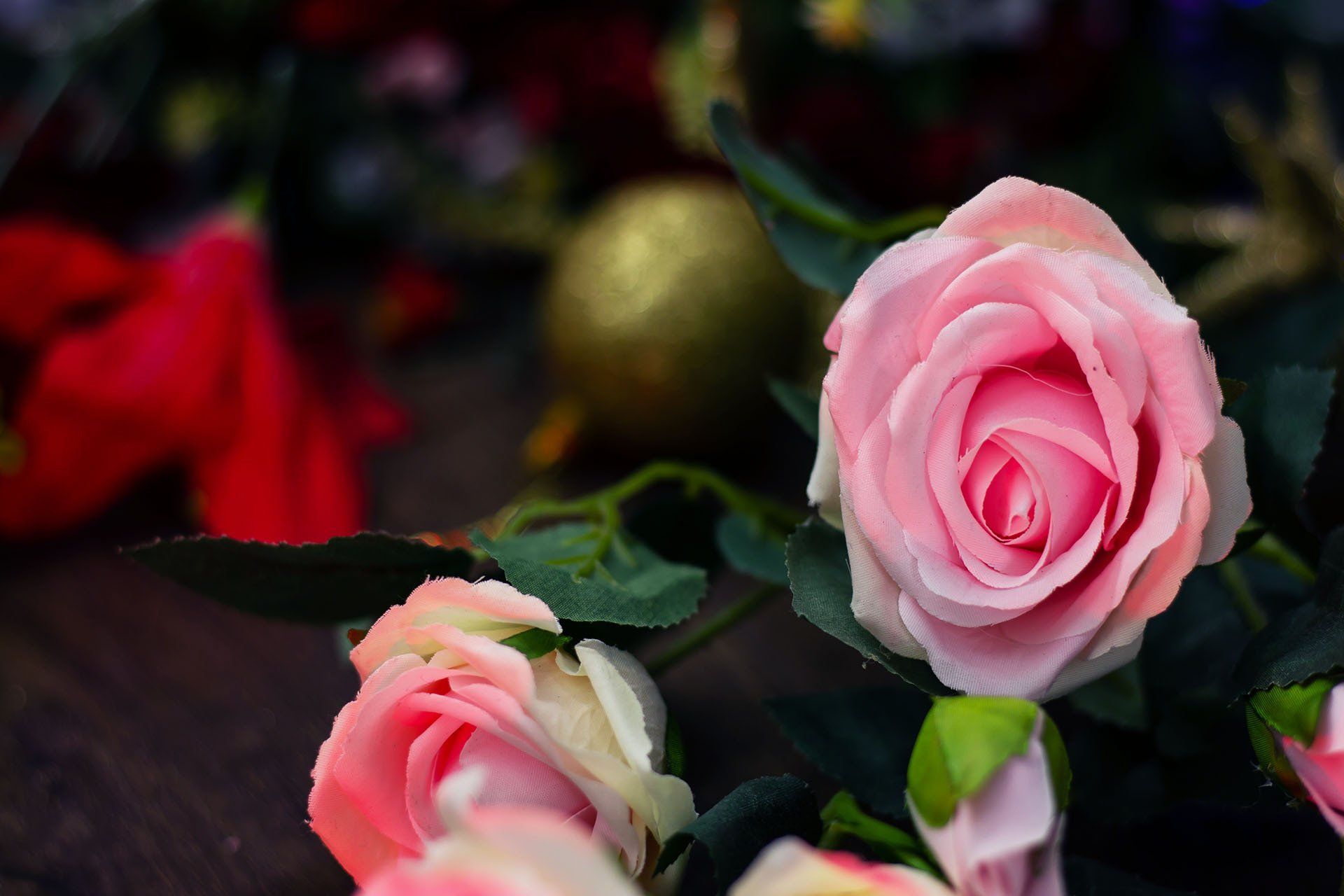 Send Flowers
