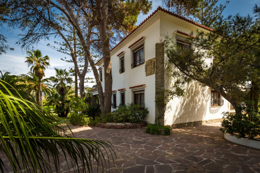 house with trees in yard