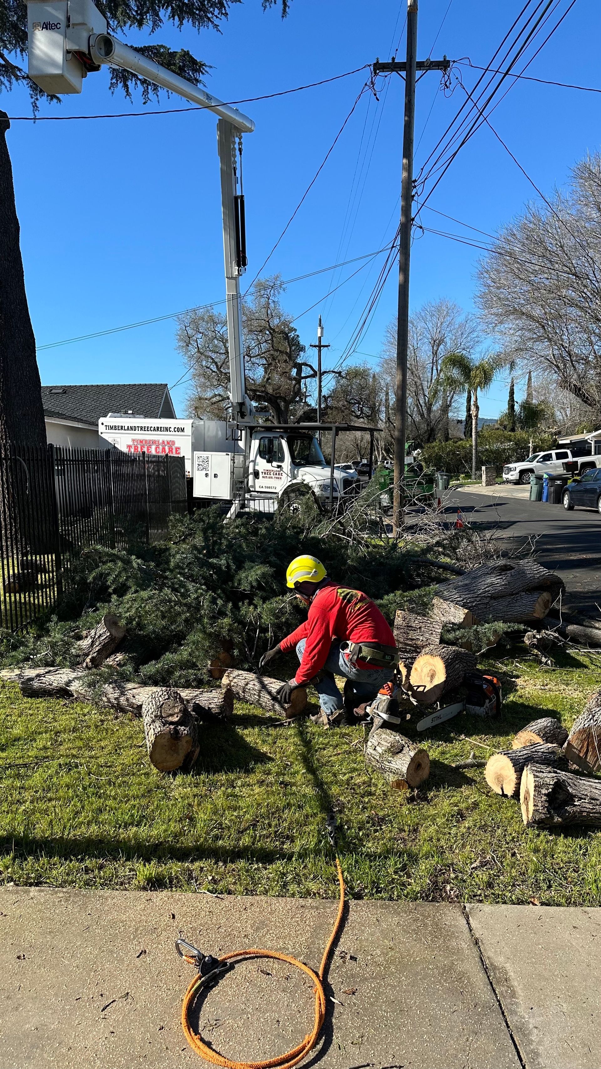 branch removal