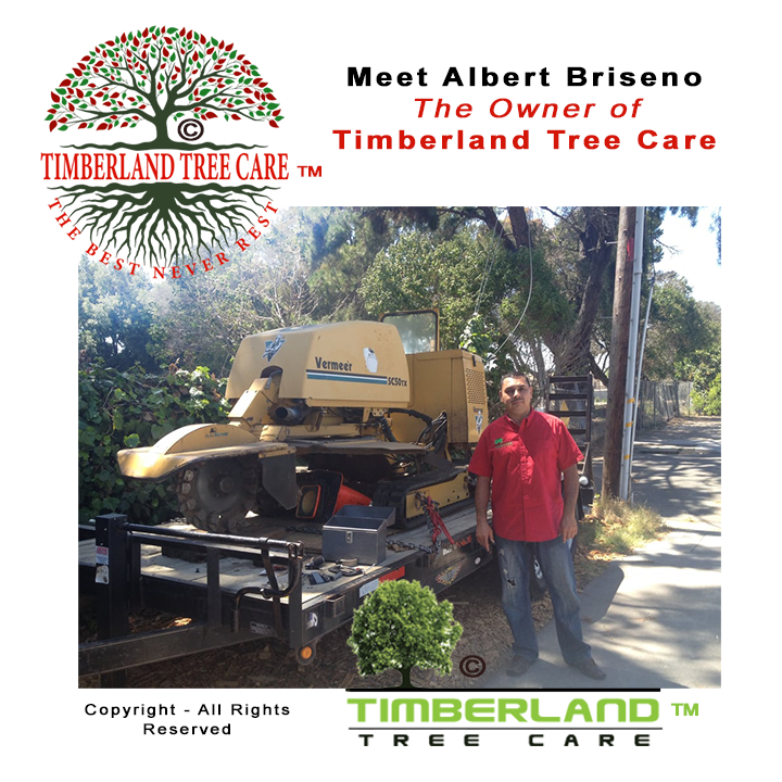 Picture of Timberland Tree Care Logo with the owner Albert Briseno standing next to his stump grinder on a trailer