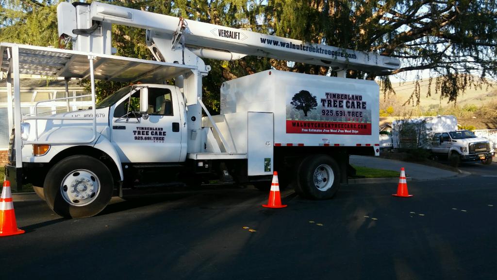 Timberland Tree Care boom Truck