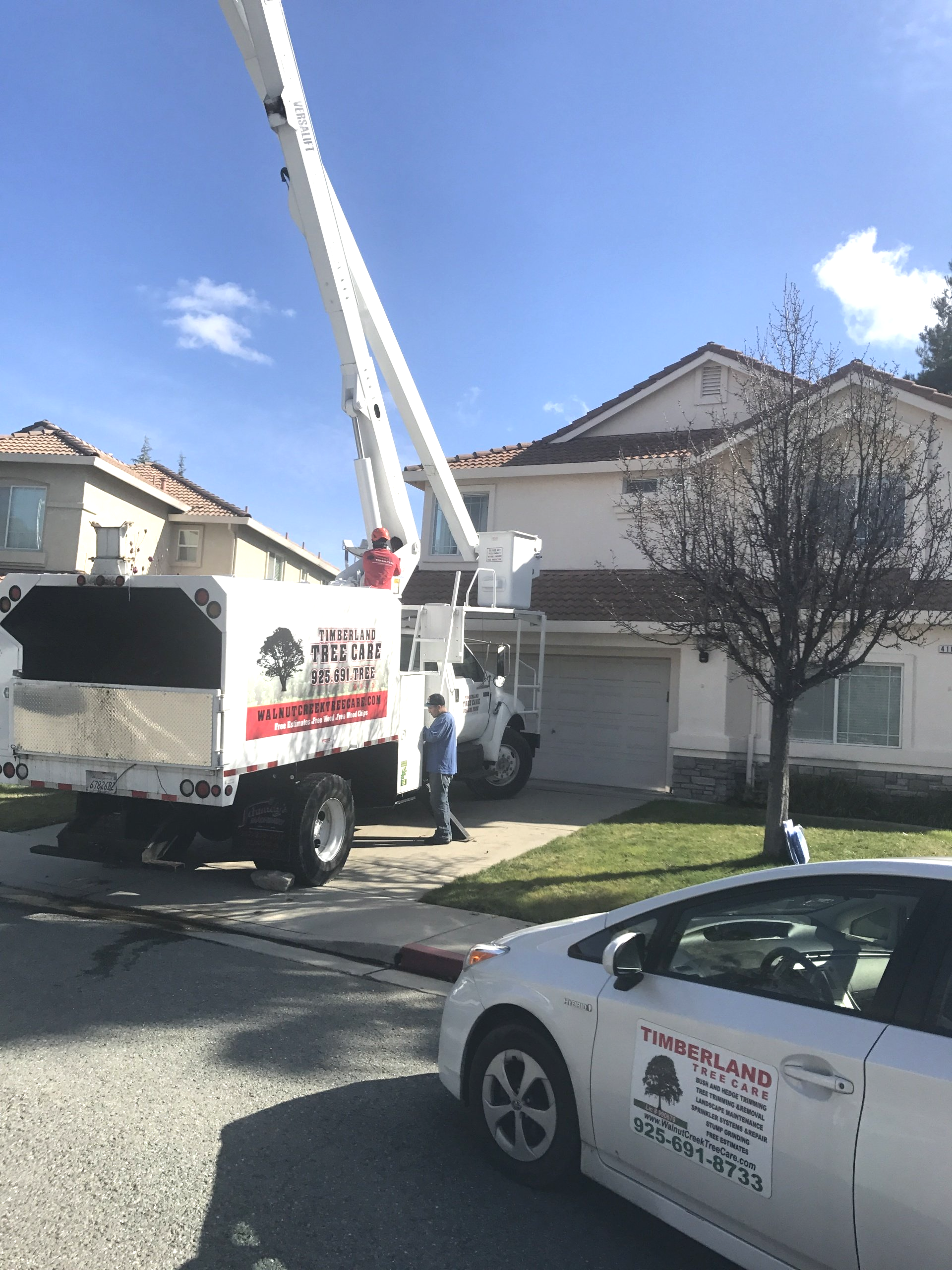 Timberland Tree Care boom Truck and car