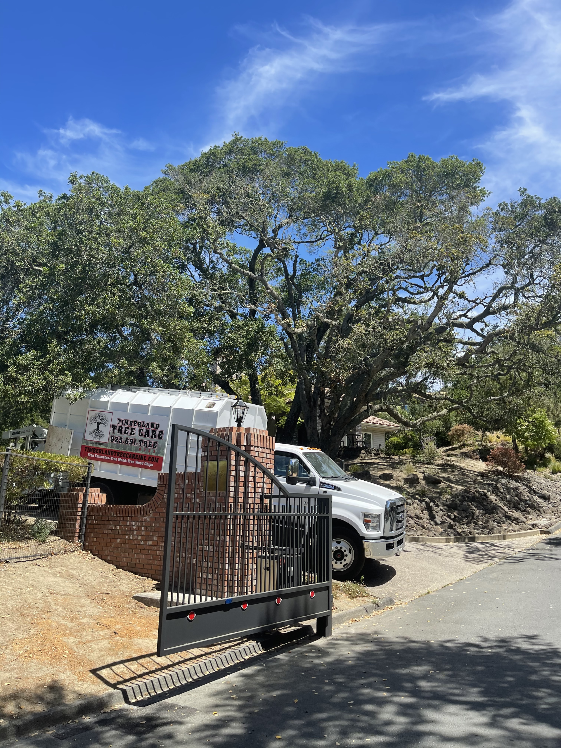 Timberland Tree Care  truck