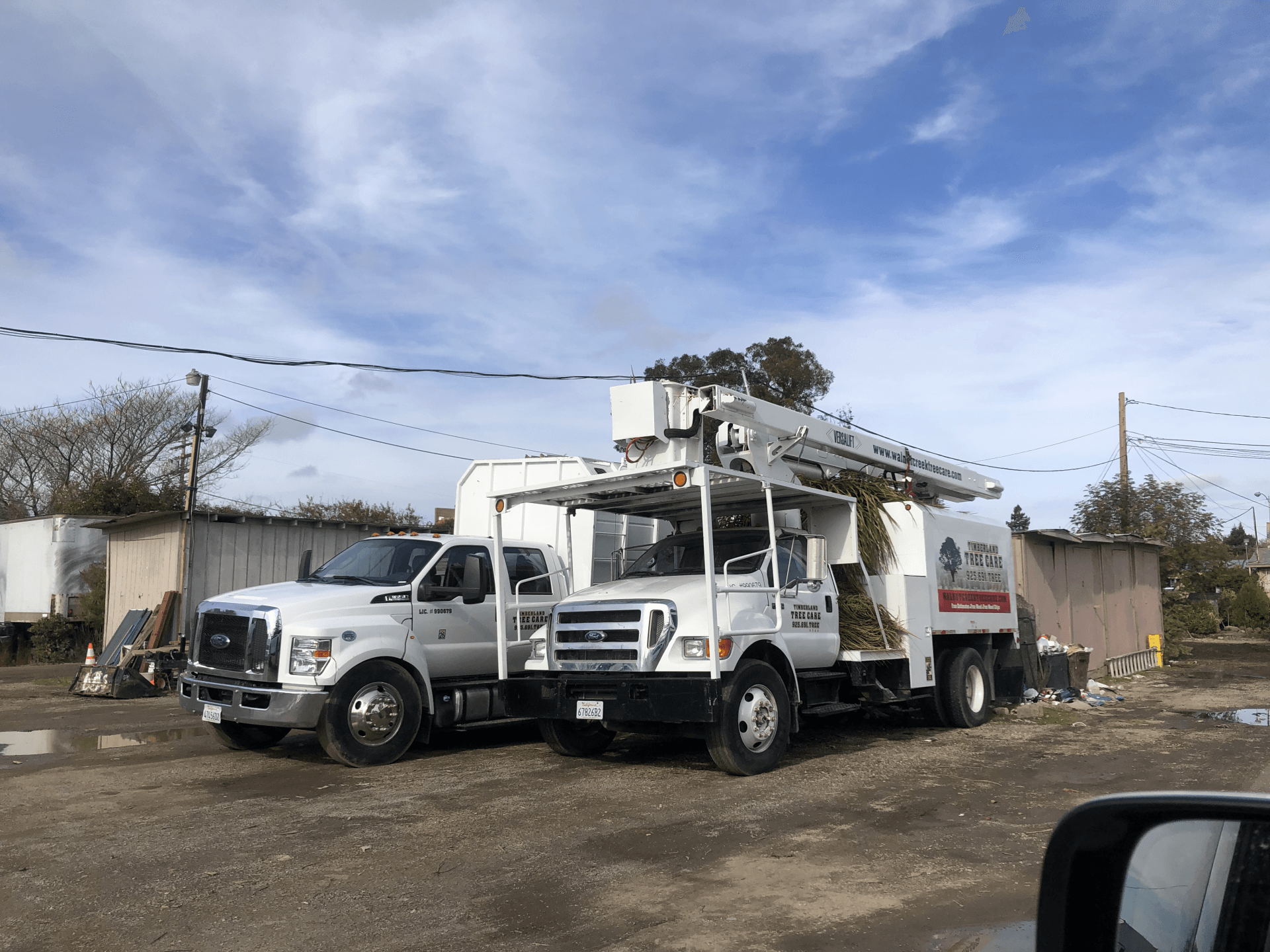 Timberland Tree Care service trucks