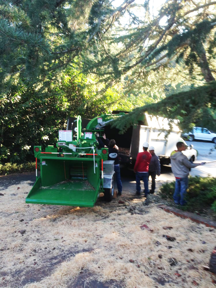 Timberland Tree Care equipment