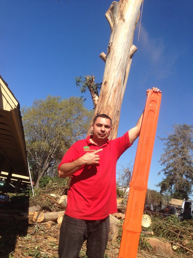 Timberland Tree Care owner Albert Briseno