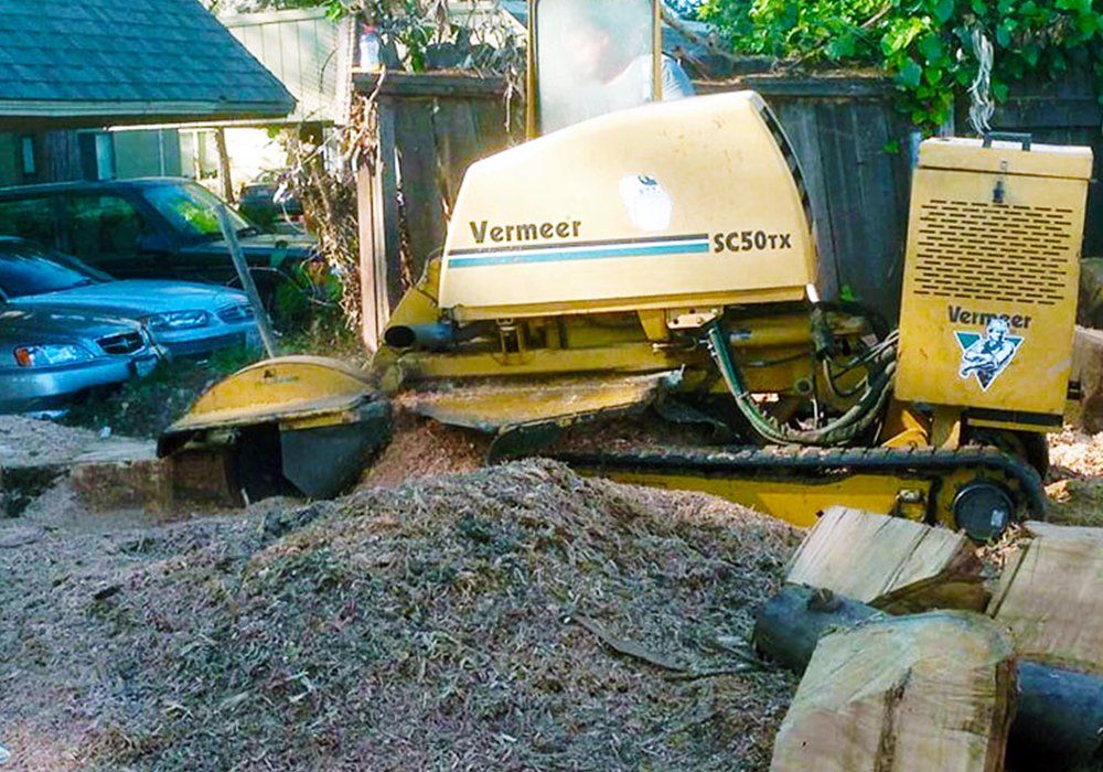 Timberland Tree Care's stump grinder
