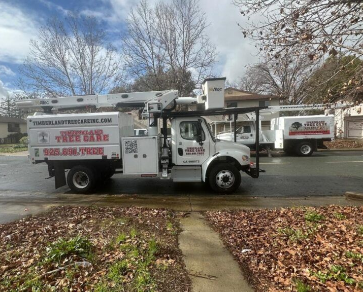 Albert Briseno, owner Timberland Tree Care's truck