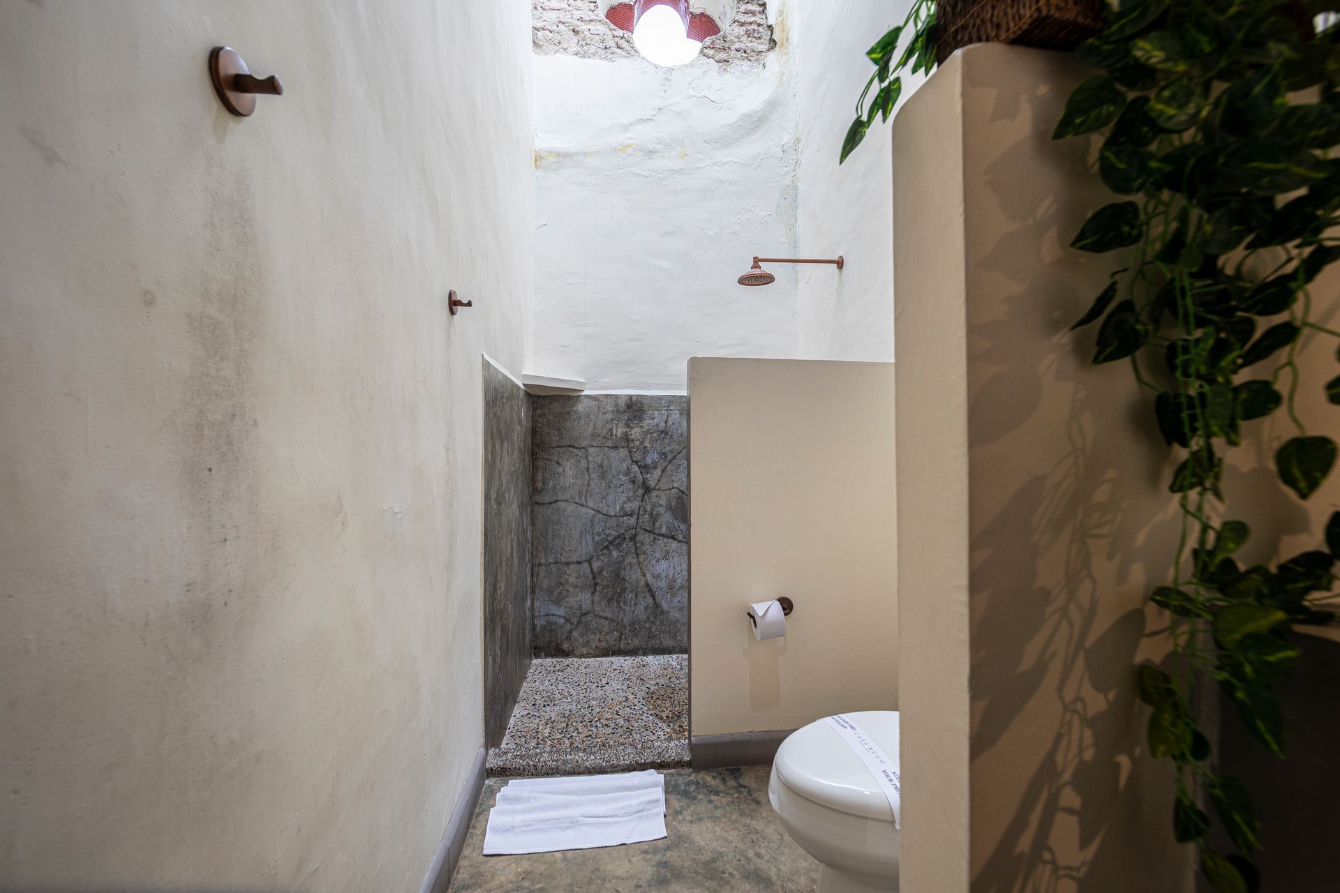 There is a toilet and a shower in the bathroom.