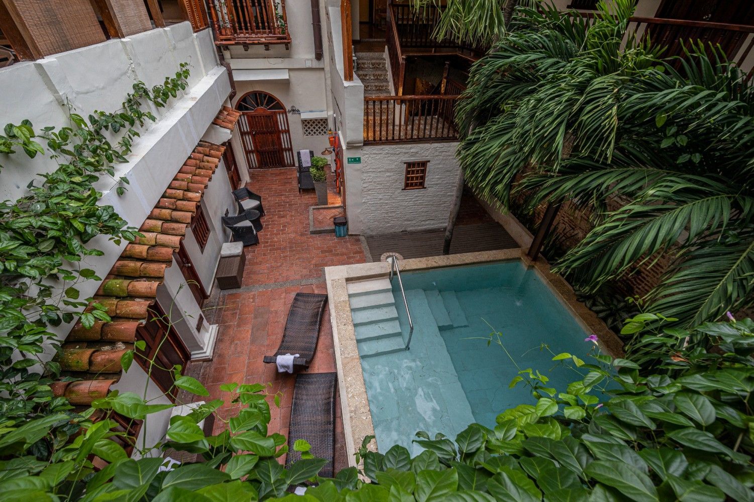 An aerial view of a swimming pool in a courtyard surrounded by plants.