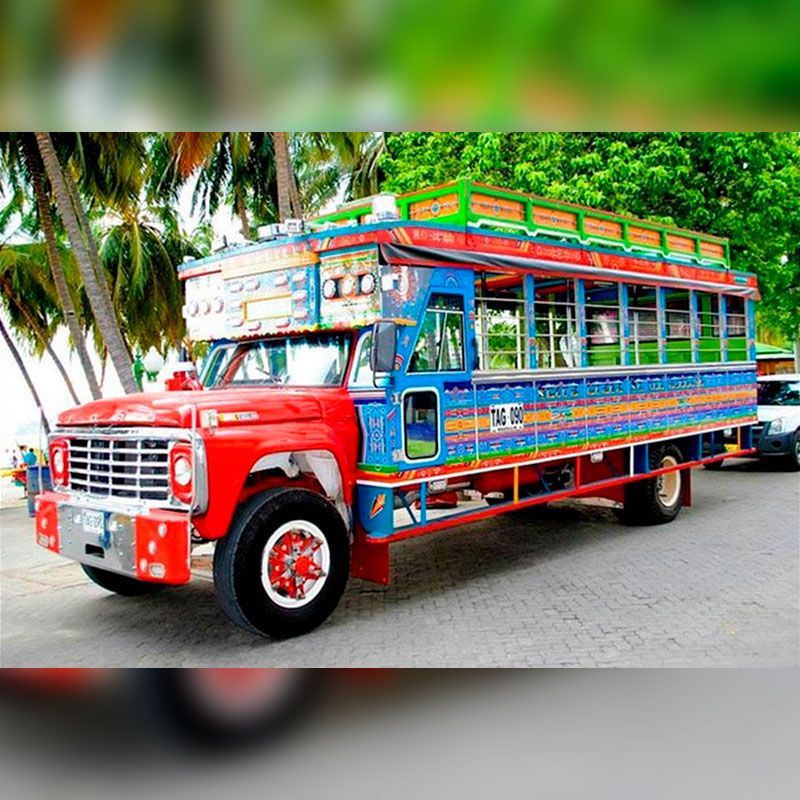 Brightly painted bus, red front, blue body, parked near palm trees.