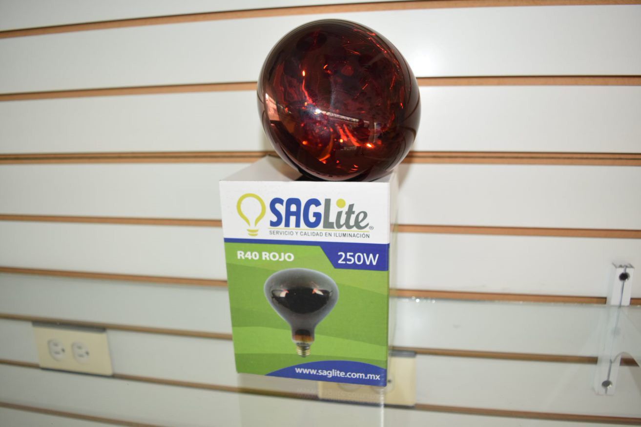 REFLECTOR RUBI MEDICINAL 250W E26 127V