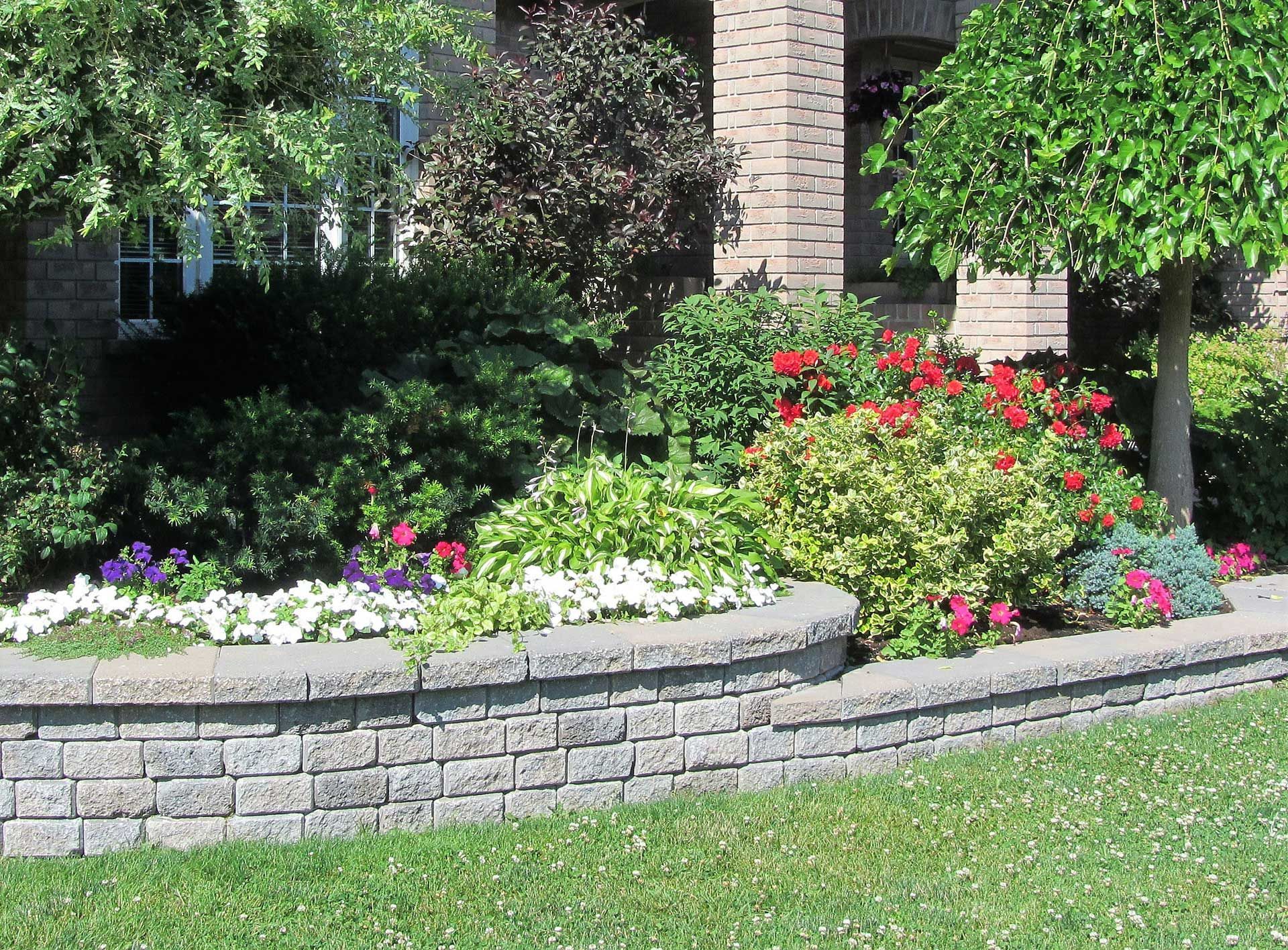 Stone retaining wall with colorful garden bed in front of a brick house.Stone retaining wall with colorful garden bed in front of a brick house. Stone retaining wall with colorful garden bed in front of a brick house.