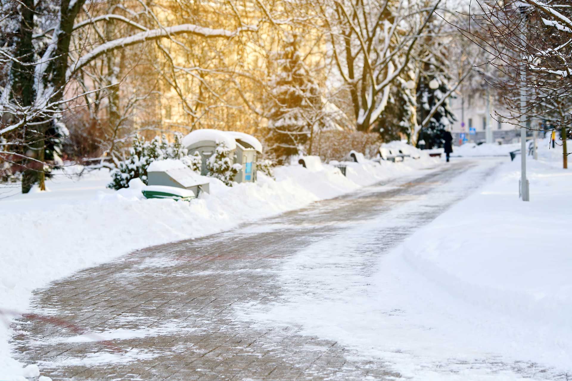 Snowy park path with a person walking in the distance, surrounded by snow-covered trees and bushes. Snowy park path with a person walking in the distance, surrounded by snow-covered trees and bushes.